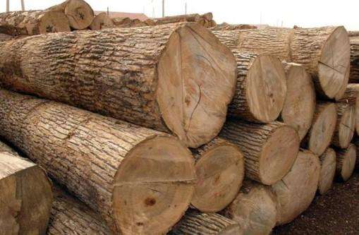 1671242268163661.jpeg 195b4e3046949a4b806c8250f907bbf8.jpeg